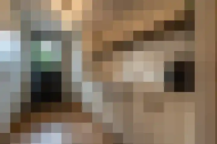 Zwanegatsedijk 10 Maasdam thumbnail 25