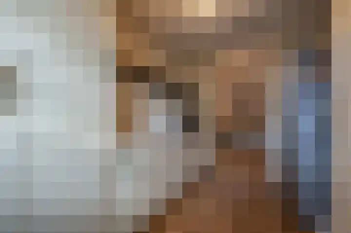 Zwanegatsedijk 10 Maasdam thumbnail 26