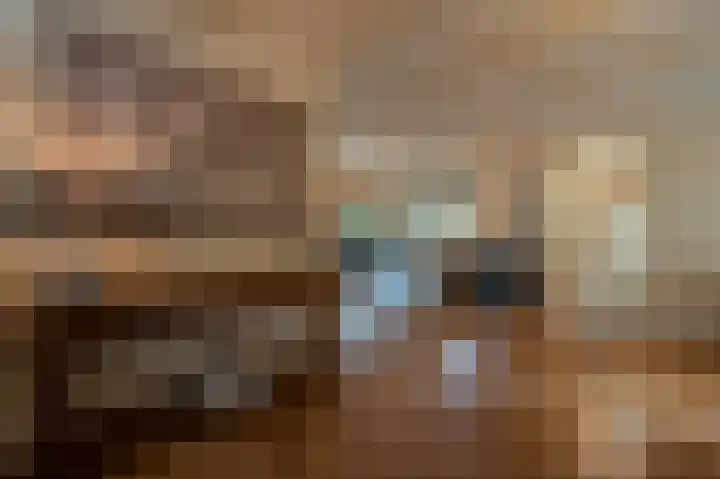 Zwanegatsedijk 10 Maasdam thumbnail 27