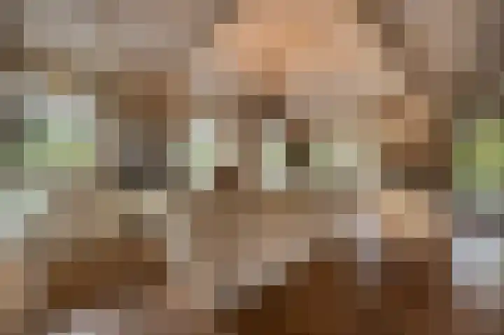 Zwanegatsedijk 10 Maasdam thumbnail 28