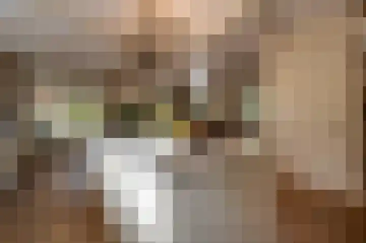Zwanegatsedijk 10 Maasdam thumbnail 30