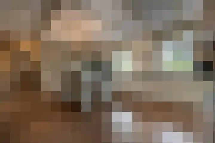 Zwanegatsedijk 10 Maasdam thumbnail 32