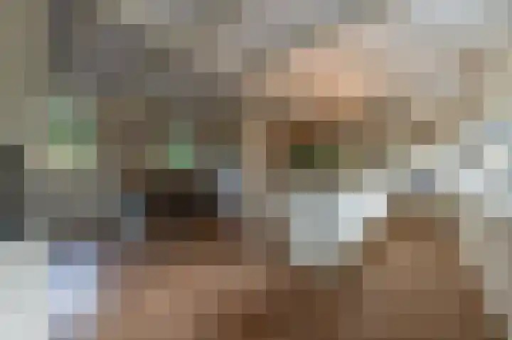 Zwanegatsedijk 10 Maasdam thumbnail 33