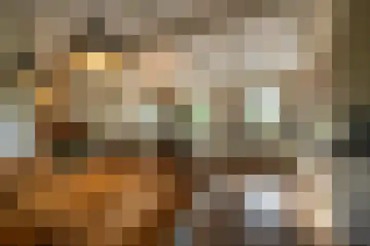 Zwanegatsedijk 10 Maasdam thumbnail 34