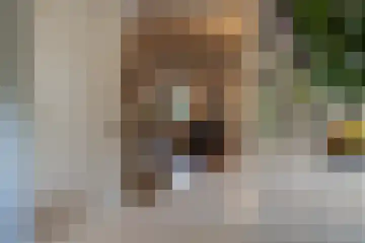 Zwanegatsedijk 10 Maasdam thumbnail 35