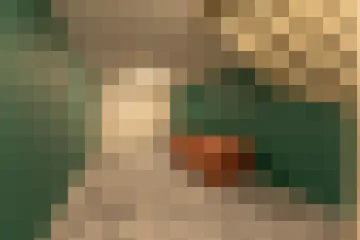 Zwanegatsedijk 10 Maasdam thumbnail 36