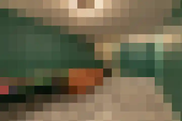 Zwanegatsedijk 10 Maasdam thumbnail 37