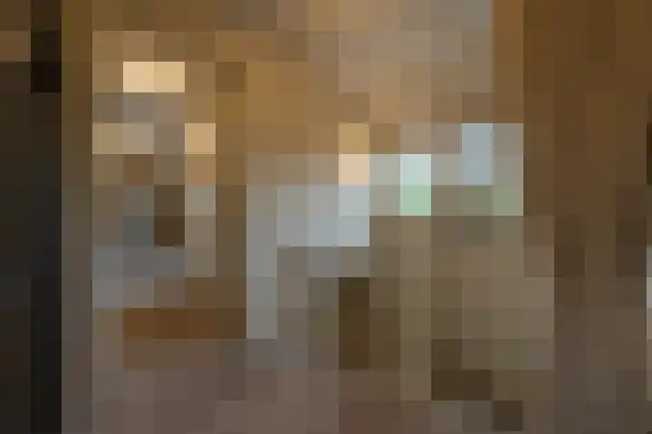 Zwanegatsedijk 10 Maasdam thumbnail 38