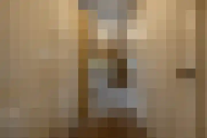 Zwanegatsedijk 10 Maasdam thumbnail 39