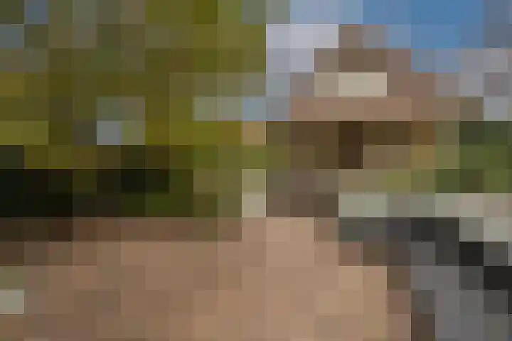 Zwanegatsedijk 10 Maasdam thumbnail 4
