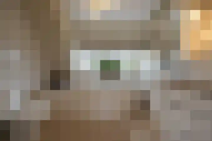 Zwanegatsedijk 10 Maasdam thumbnail 40