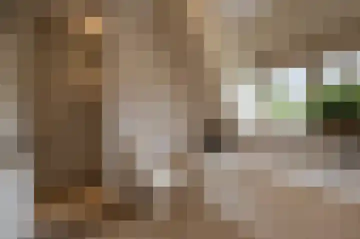 Zwanegatsedijk 10 Maasdam thumbnail 41