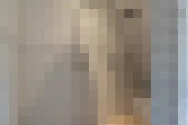 Zwanegatsedijk 10 Maasdam thumbnail 42