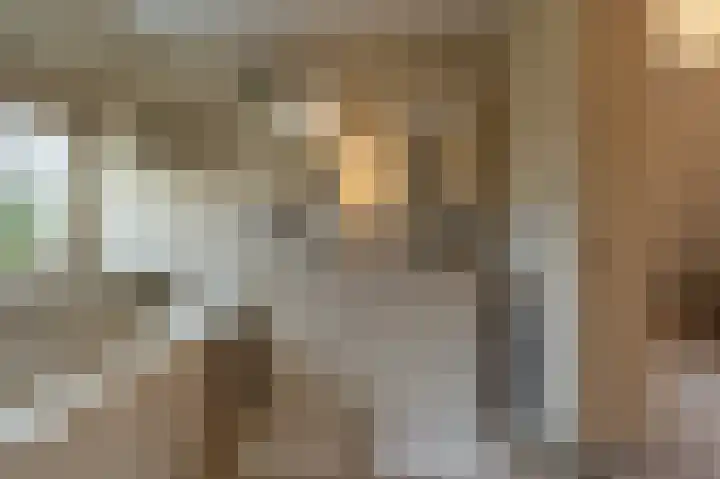 Zwanegatsedijk 10 Maasdam thumbnail 43