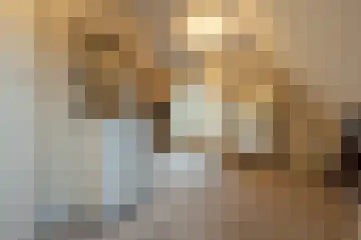 Zwanegatsedijk 10 Maasdam thumbnail 44