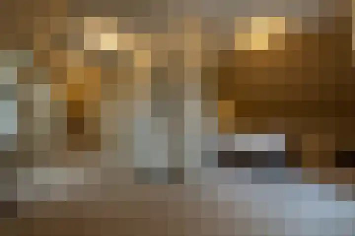 Zwanegatsedijk 10 Maasdam thumbnail 45