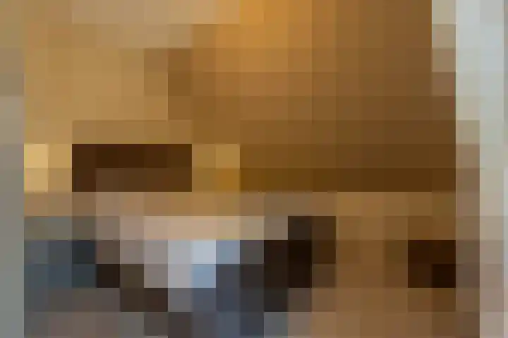 Zwanegatsedijk 10 Maasdam thumbnail 46