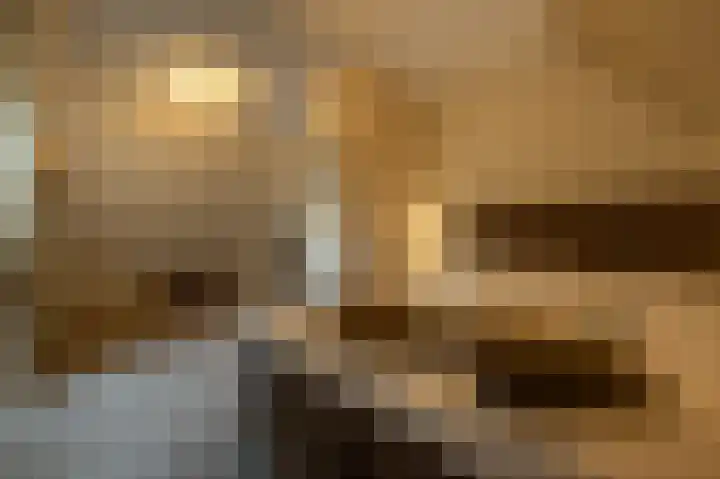 Zwanegatsedijk 10 Maasdam thumbnail 47