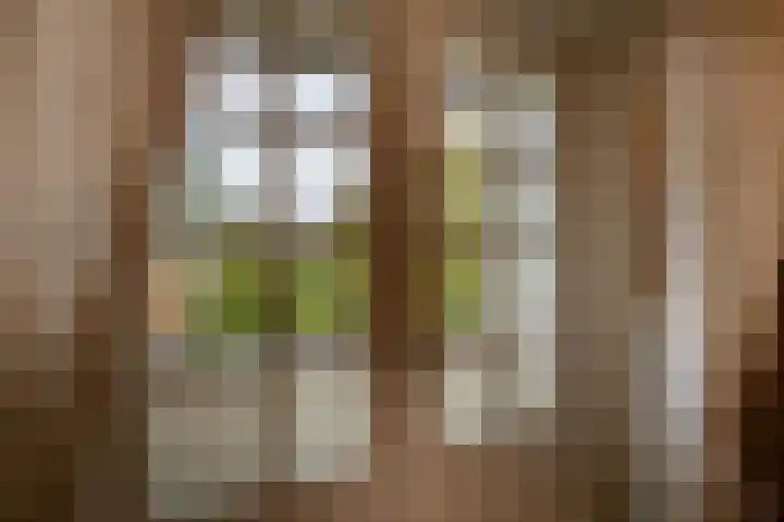 Zwanegatsedijk 10 Maasdam thumbnail 48