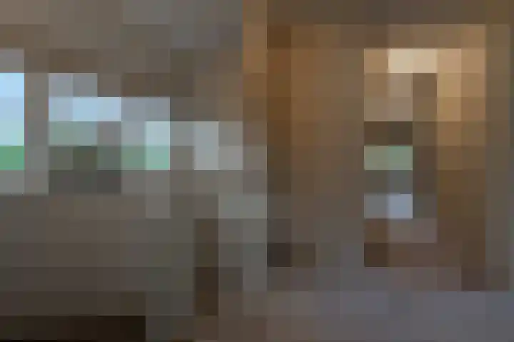 Zwanegatsedijk 10 Maasdam thumbnail 49
