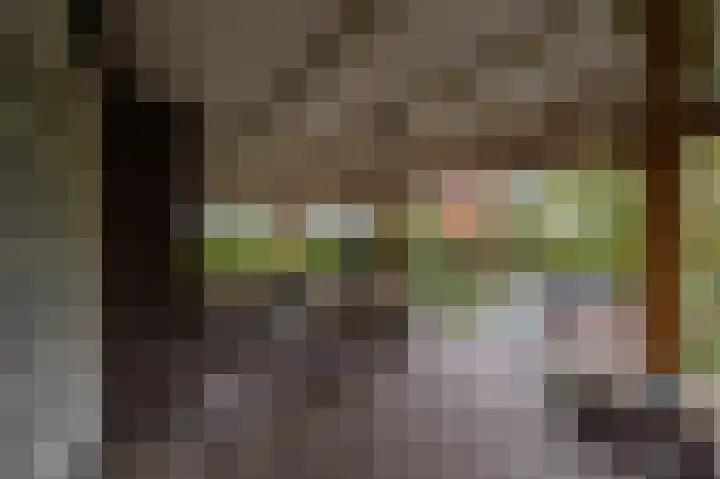 Zwanegatsedijk 10 Maasdam thumbnail 5