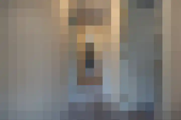 Zwanegatsedijk 10 Maasdam thumbnail 50