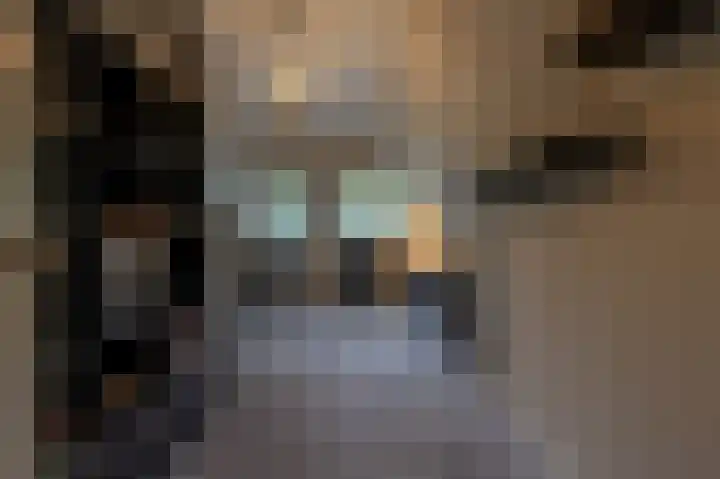 Zwanegatsedijk 10 Maasdam thumbnail 51