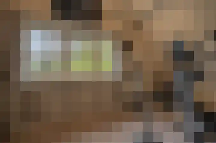 Zwanegatsedijk 10 Maasdam thumbnail 52