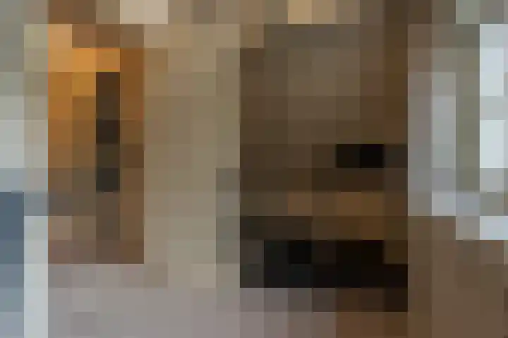 Zwanegatsedijk 10 Maasdam thumbnail 53