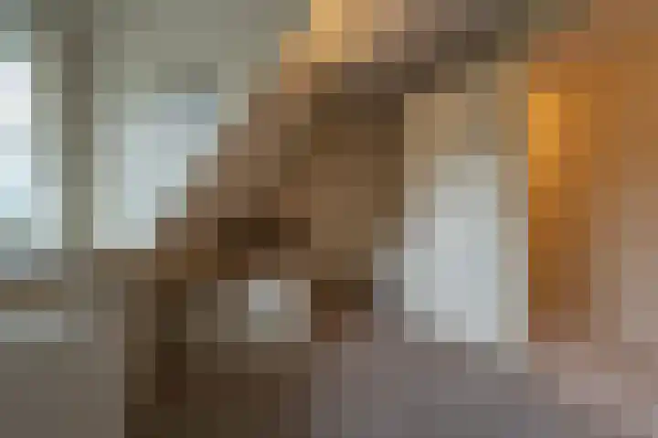 Zwanegatsedijk 10 Maasdam thumbnail 54