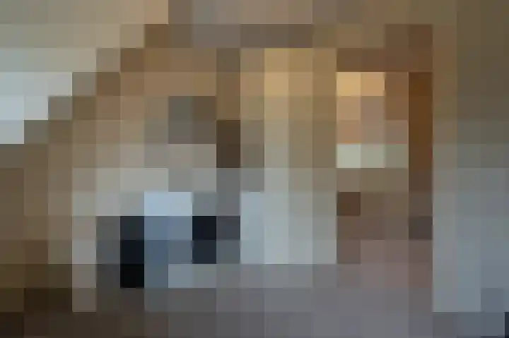 Zwanegatsedijk 10 Maasdam thumbnail 57