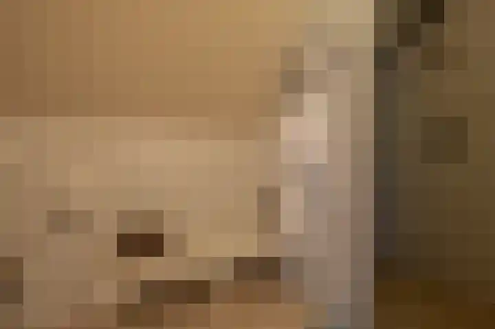 Zwanegatsedijk 10 Maasdam thumbnail 58