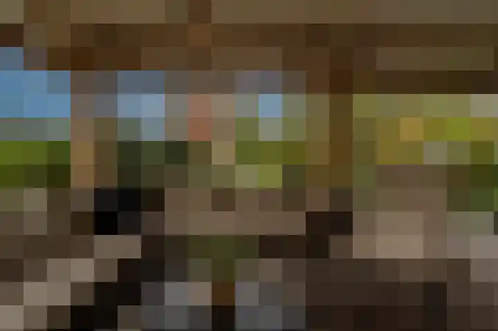 Zwanegatsedijk 10 Maasdam thumbnail 6