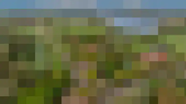 Zwanegatsedijk 10 Maasdam thumbnail 60