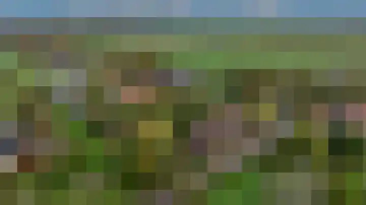 Zwanegatsedijk 10 Maasdam thumbnail 61