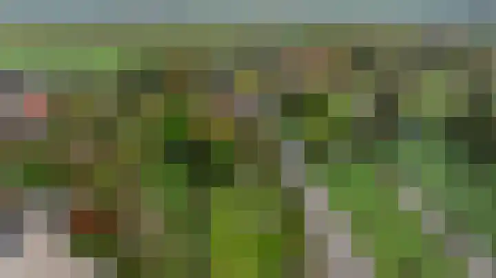 Zwanegatsedijk 10 Maasdam thumbnail 62