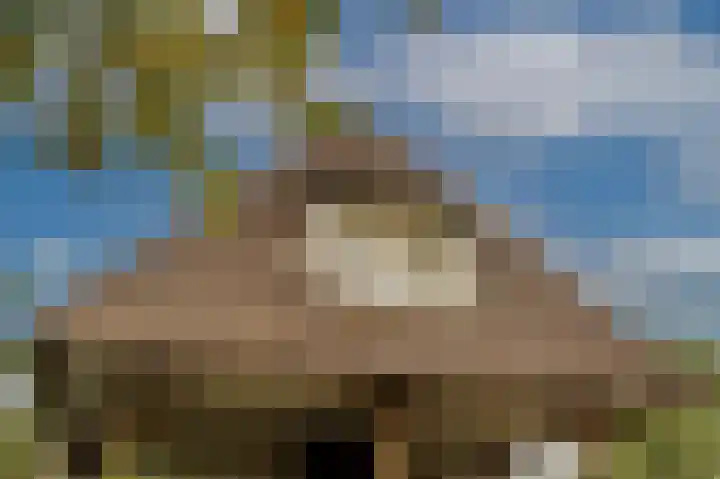 Zwanegatsedijk 10 Maasdam thumbnail 64