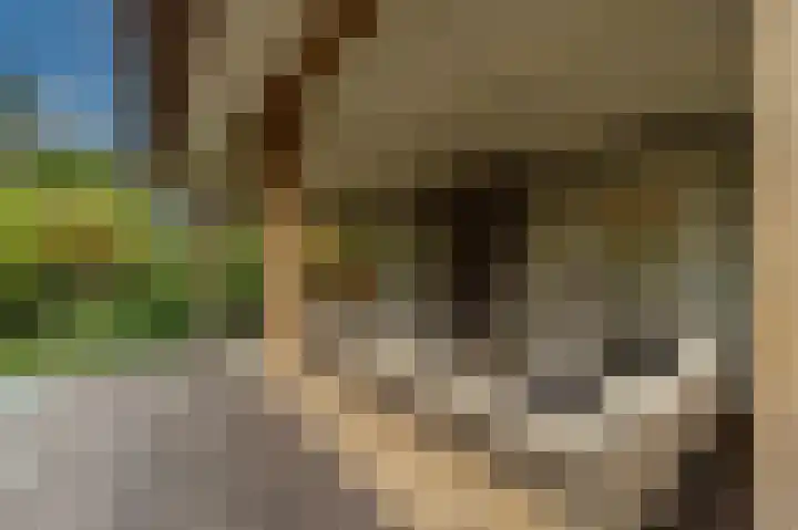 Zwanegatsedijk 10 Maasdam thumbnail 66