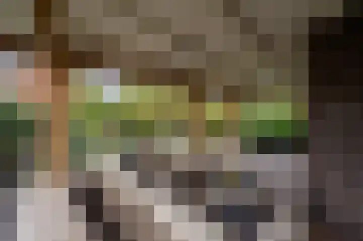 Zwanegatsedijk 10 Maasdam thumbnail 67
