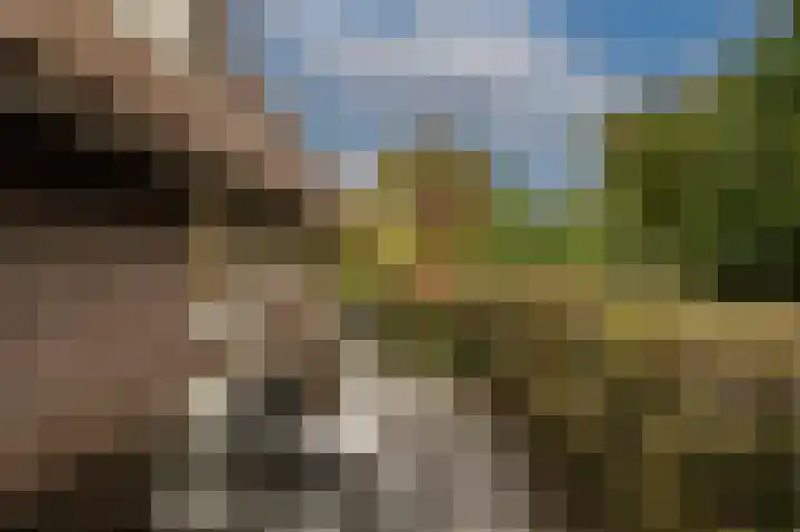 Zwanegatsedijk 10 Maasdam thumbnail 68