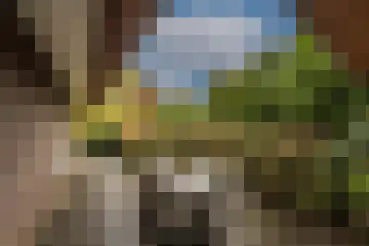 Zwanegatsedijk 10 Maasdam thumbnail 69