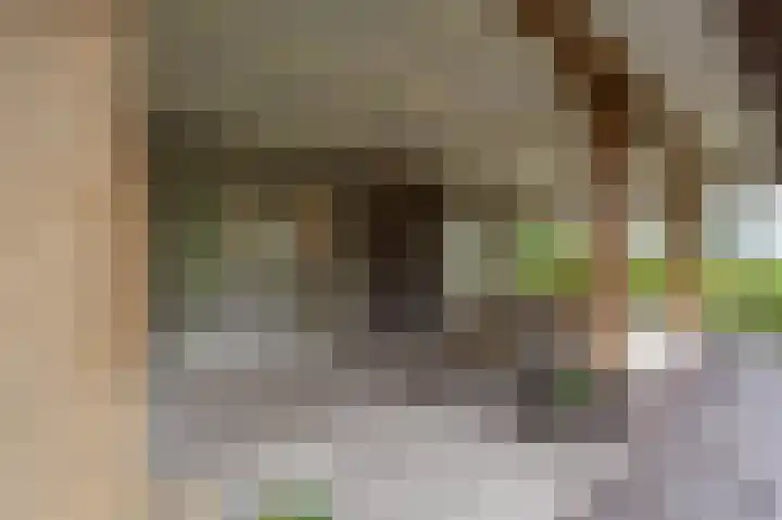 Zwanegatsedijk 10 Maasdam thumbnail 7