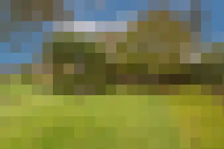 Zwanegatsedijk 10 Maasdam thumbnail 70