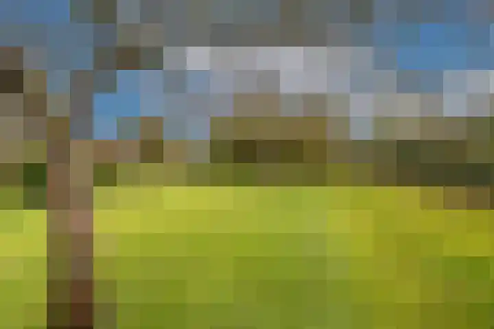 Zwanegatsedijk 10 Maasdam thumbnail 71