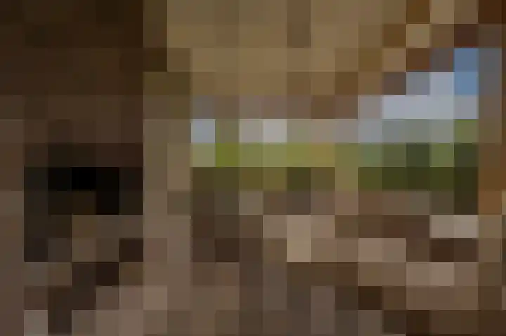 Zwanegatsedijk 10 Maasdam thumbnail 8