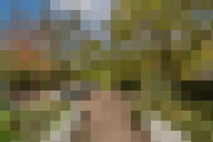 Zwanegatsedijk 10 Maasdam thumbnail 9