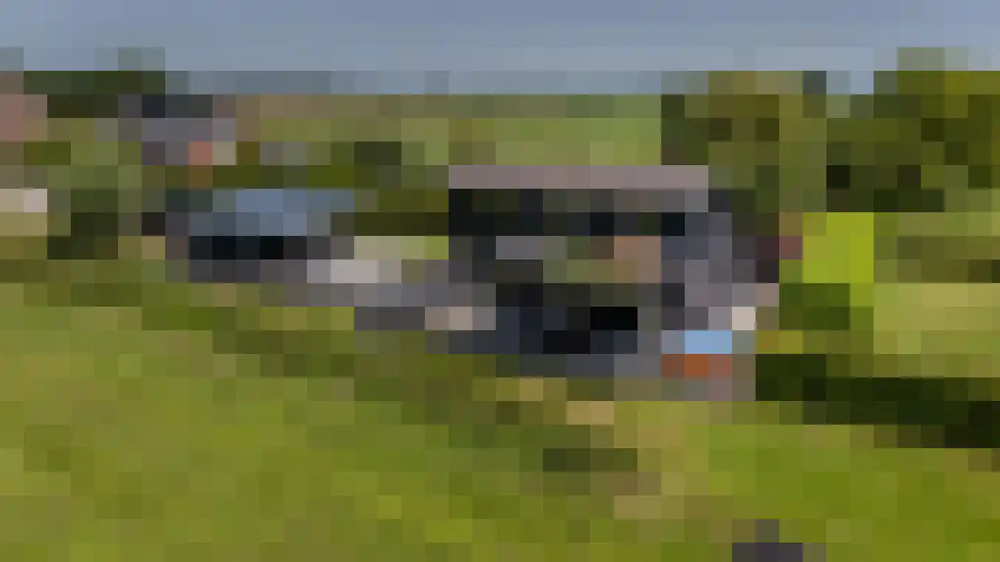 Zwanegatsedijk 4 A Maasdam