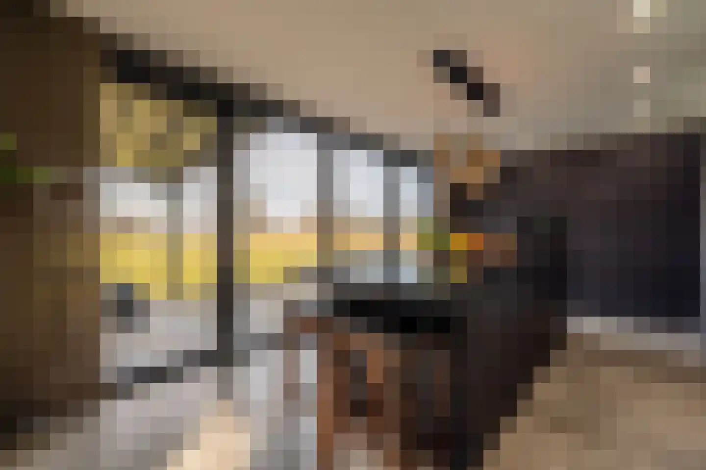 Zwanegatsedijk 4 A Maasdam thumbnail 10