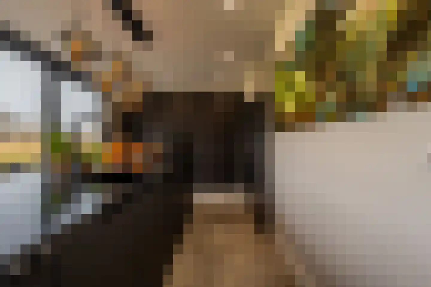 Zwanegatsedijk 4 A Maasdam thumbnail 11