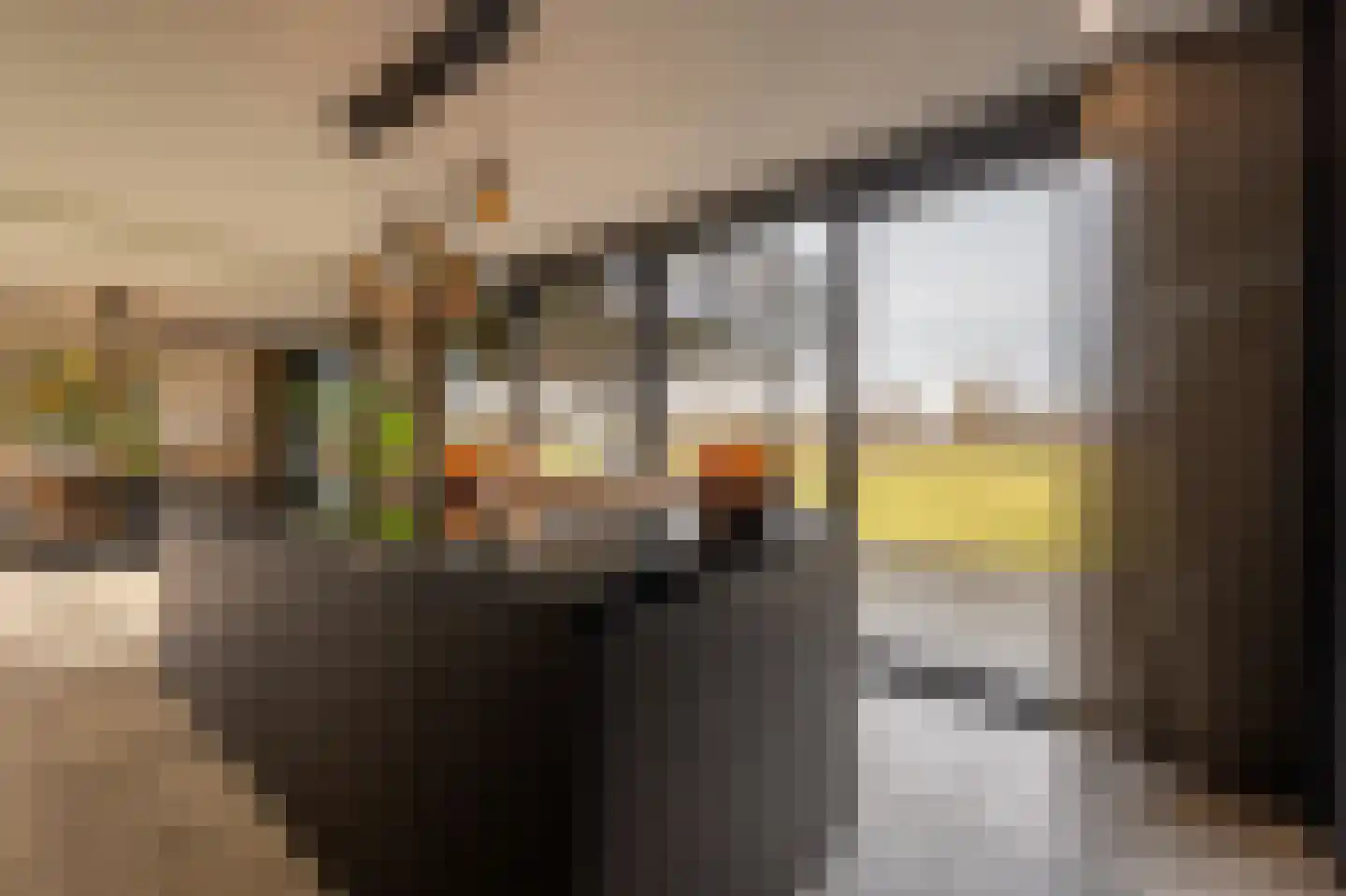 Zwanegatsedijk 4 A Maasdam thumbnail 12